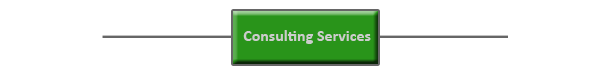 Consulting Services